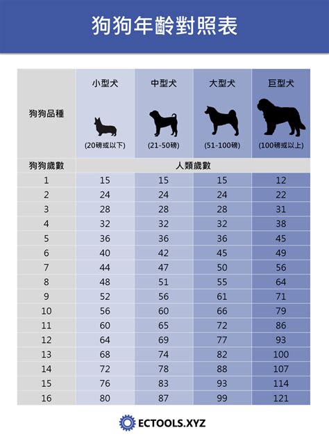 寵物年齡查詢|【附人狗年齡對照表】狗1歲等於人7歲？錯！話你知最科學計算法